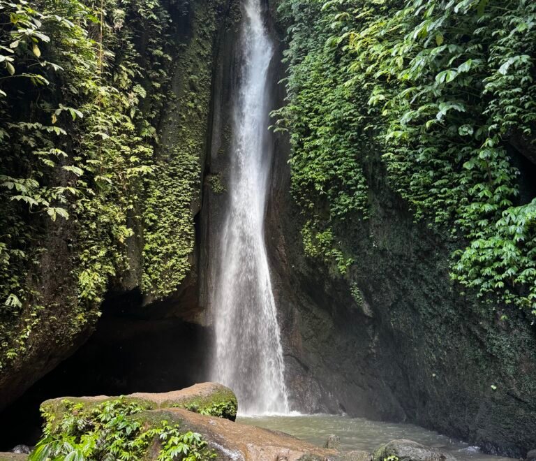 Bali - Ubud