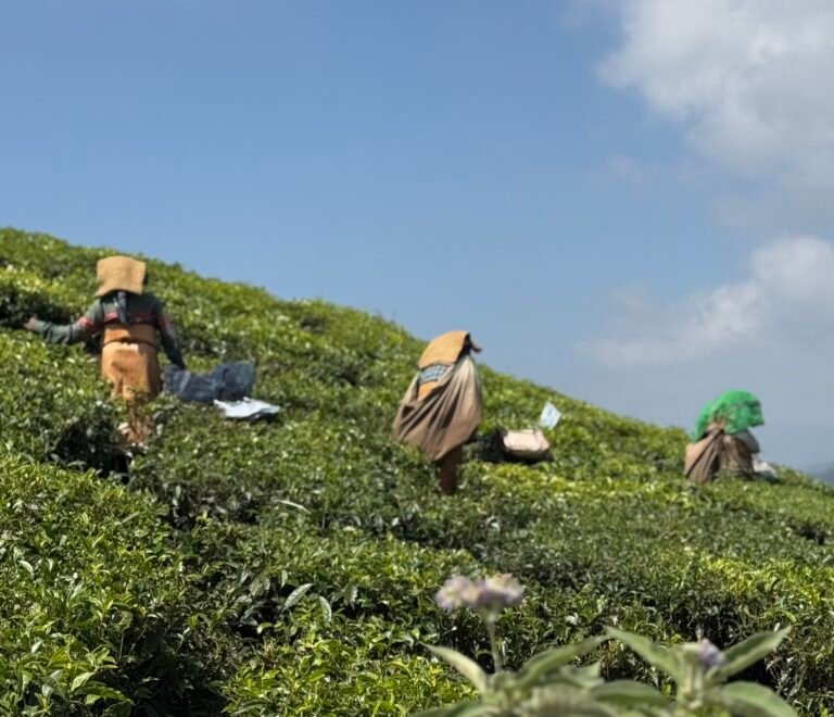 Kerela