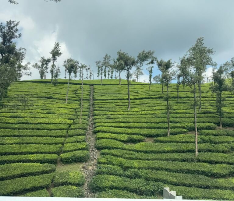 Kerela